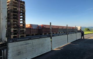 Eisstockbahnen Sanierung 2019 Eisstockbahnen Sanierung 2019