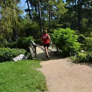 Startseite